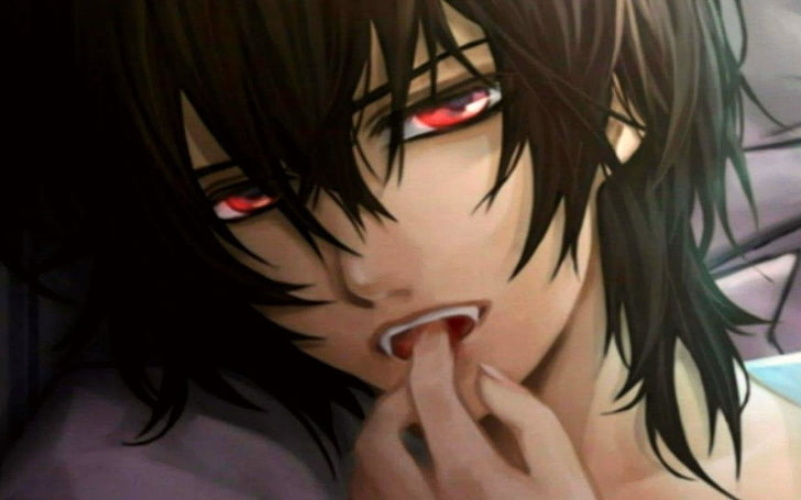 black haired male anime character, Anime, Vampire Knight, HD wallpaper