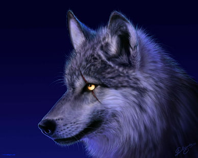 Рисунок волка HD, животные, рисунок, волк, HD обои HD wallpaper