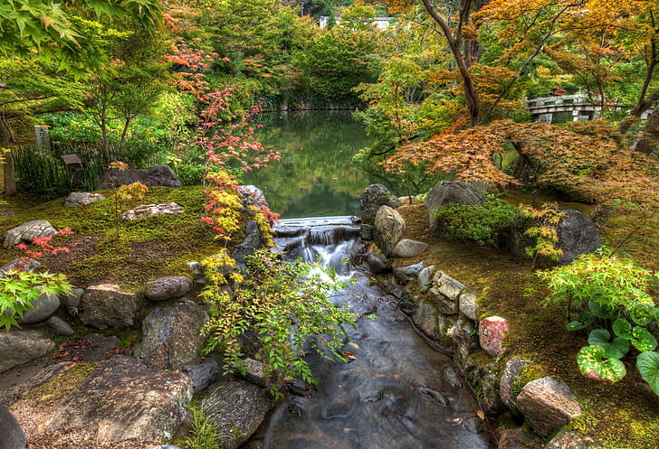 人工、ガーデン、ブリッジ、ブッシュ、秋、紅葉、日本、京都、自然、公園、ロック、ハーモニーガーデン、ツリー、禅、 HDデスクトップの壁紙