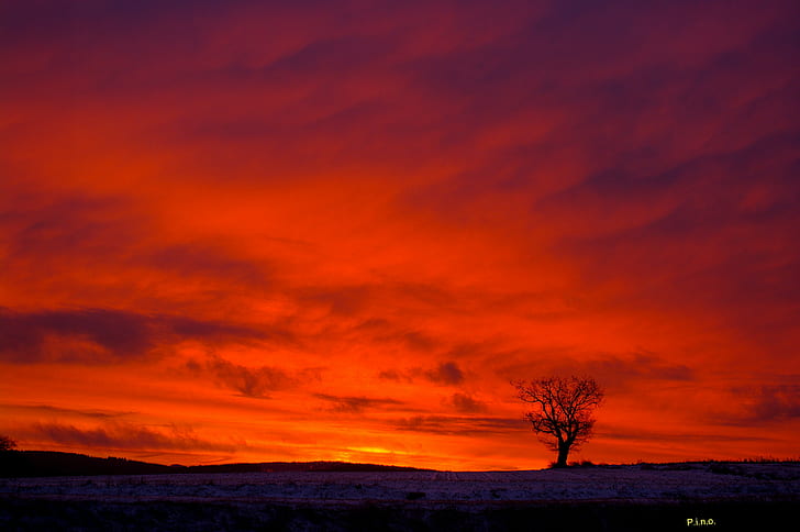 tramonto silhouette fotografia, rosso, alba tramonto, silhouette, fotografia, Paradiso, attrezzi, io mio, premium, tramonto, natura, tramonto, paesaggio, cielo, paesaggi, albero, fuori, nuvola - Cielo, Sfondo HD