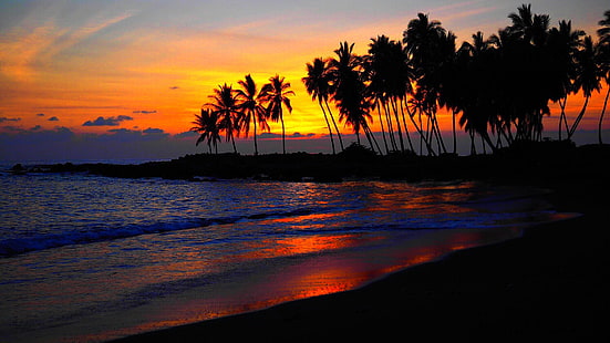 plaj, gün batımı, palmiye ağaçları, HD masaüstü duvar kağıdı HD wallpaper