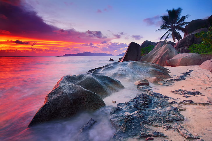 formación de roca gris, mar, playa, el cielo, agua, nubes, árboles, piedras, palmeras, rocas, la tarde, mañana, extracto, los arbustos, el océano Índico, la isla de La Digue, Seychelles, Fondo de pantalla HD