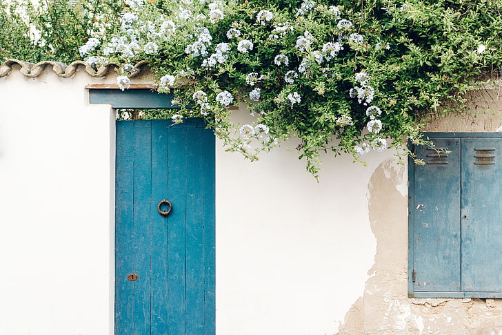 blue wooden door, flowers, wall, the door, door, HD wallpaper