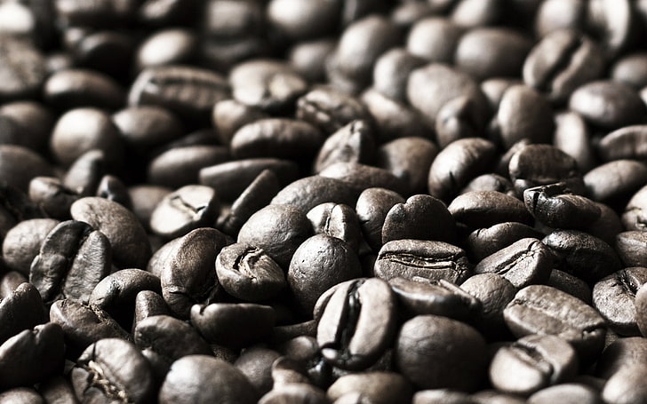 black coffee seeds, Food, Coffee, HD wallpaper