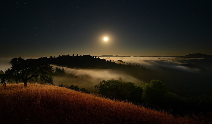 bulan purnama dan awan putih, Bulan, sinar bulan, malam berbintang, kabut, bukit, awan, pohon, rumput, lembah, alam, lanskap, Wallpaper HD