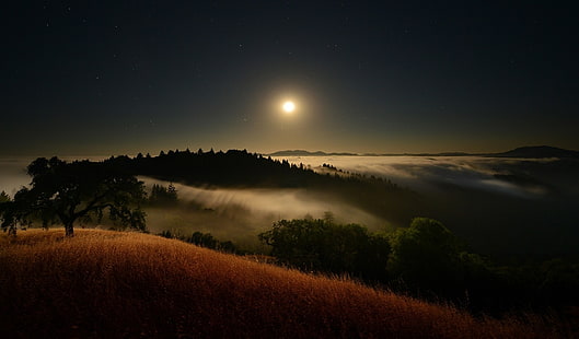 pełnia księżyca i białe chmury, księżyc, światło księżyca, gwiaździsta noc, mgła, wzgórza, chmury, drzewa, trawa, dolina, natura, krajobraz, Tapety HD HD wallpaper