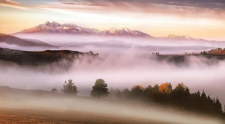 automne, montagnes, brouillard, matin, Carpates, Fond d'écran HD