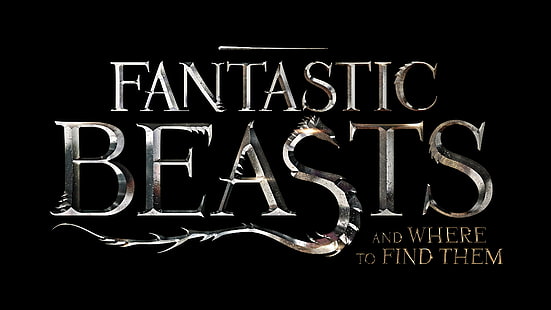 fantastic beasts and where to find them, HD wallpaper HD wallpaper