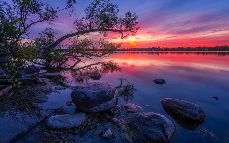 Wilcox Lake Ontario Canada Red Sunset Dusk Wood Willow Stone Reflection In Water Hd Desktop Wallpapers For Computers Tablet and Mobile Phones 3840 × 2400, Fond d'écran HD