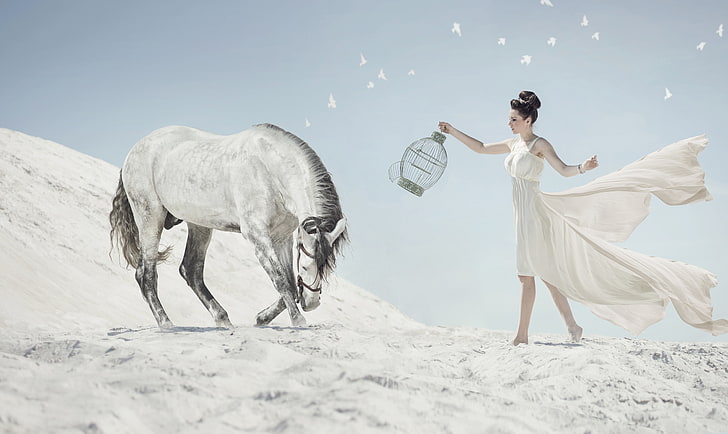 kobieta trzymająca klatkę dla ptaków stojąc przed obrazem konia, piasek, dziewczyna, koń, cela, łuk, Tapety HD