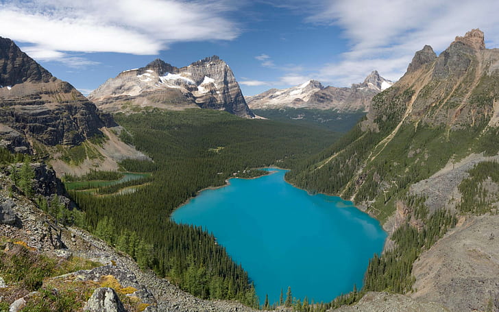 Canada Natural Beauties Lake O’hara Yoho National Park British Columbia Desktop Hd Wallpaper 2560 × 1600, วอลล์เปเปอร์ HD