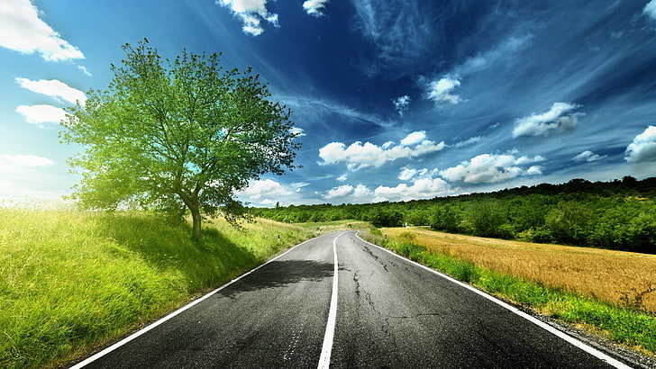 estrada de asfalto, paisagem, estrada, HD papel de parede