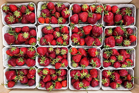 lot de fraises, fraises, baies, mûres, récolte, Fond d'écran HD HD wallpaper