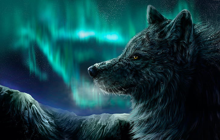 lihat, aurora polaris, Wolf, Wallpaper HD