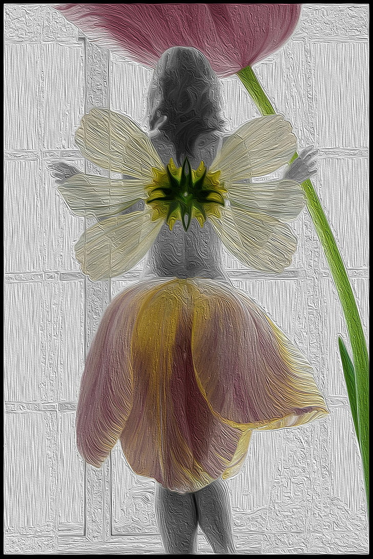 Feen, Blumen, Tulpen, HD-Hintergrundbild, Handy-Hintergrundbild