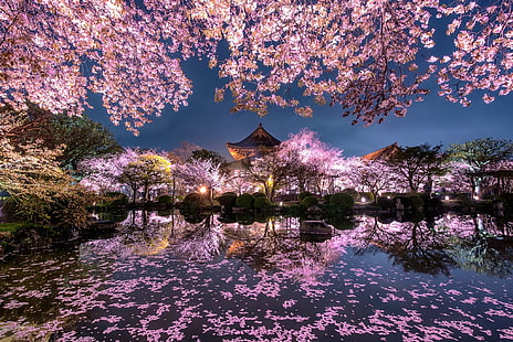 светлина, цветя, нощ, град, светлини, езерце, пролет, Япония, градина, Сакура, HD тапет HD wallpaper
