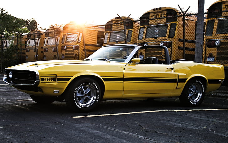 небо, солнце, желтый, забор, Шелби, Мустанг, 1969, форд, вид сбоку, автобусы, Мускул кар, кабриолет, GT350, HD обои
