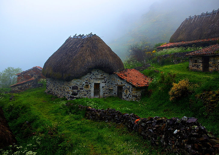 пейзаж, трава, туман, дом, HD обои