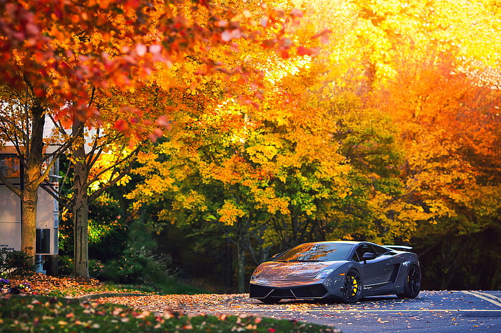 black Lamborghini Gallardo coupe, lamborghini, autumn, gallardo, superleggera, lp570, HD wallpaper