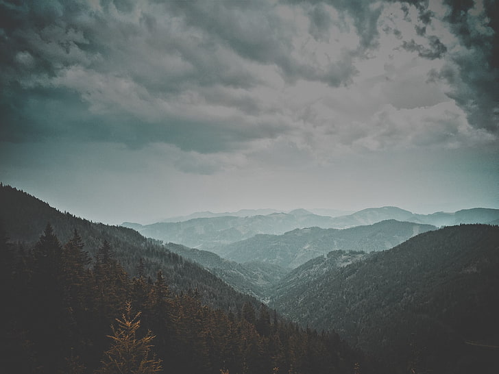 foto pemandangan gunung berkabut, alam, pemandangan, pohon, kabut, Wallpaper HD