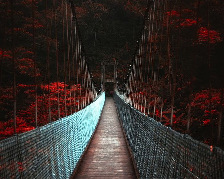 brun bro, landskap, natur, mörk, falla, bro, träd, röd, HD tapet