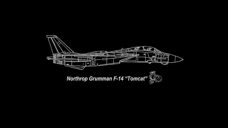 Grumman F-14 Tomcat, F-14 Tomcat, реактивен изтребител, ВМС на САЩ, самолет, HD тапет