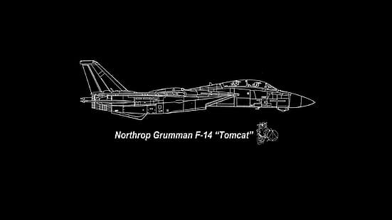  Grumman F-14 Tomcat, F-14 Tomcat, jet fighter, United States Navy, airplane, HD wallpaper HD wallpaper
