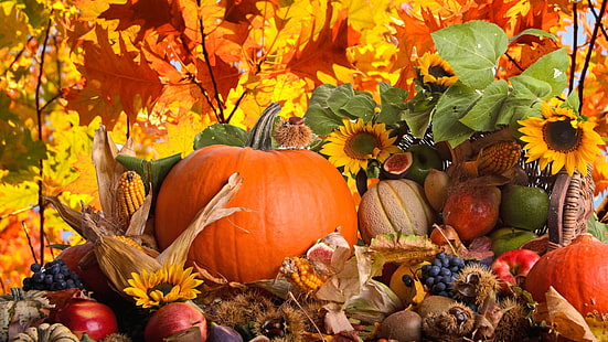 squash, pumpkin, vegetable, produce, halloween, autumn, orange, food, fall, pumpkins, october, thanksgiving, plant, harvest, holiday, seasonal, gourd, season, decoration, yellow, stem, fruit, farm, ripe, patch, agriculture, HD wallpaper HD wallpaper