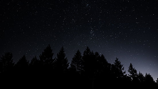 силуэт, звездное небо, звездная ночь, звёзды, ночное небо, ночь, небо, дерево, лес, тьма, HD обои HD wallpaper