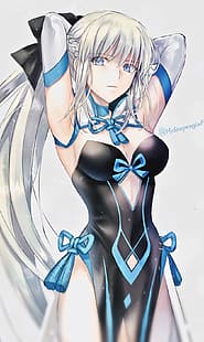 anime, anime girls, serie Fate, Fate/Grand Order, Morgan le Fay, coda di cavallo, capelli bianchi, capelli lunghi, Sfondo HD HD wallpaper