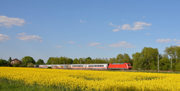 panoramic photograph of red train during daytime, db intercity, db intercity, agriculture, rural Scene, nature, oilseed Rape, farm, field, yellow, summer, HD wallpaper
