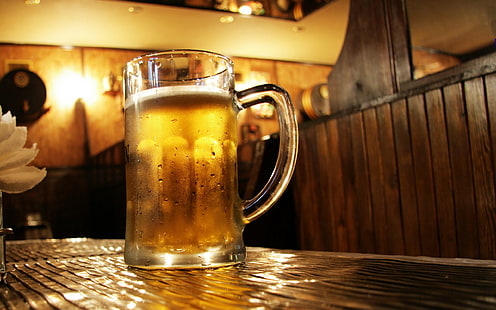 cerveja, bebida, HD papel de parede HD wallpaper