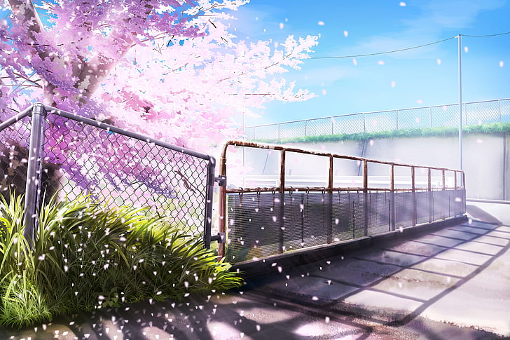 cherry blossom, scenic, petals, fence, plants, Anime, HD wallpaper