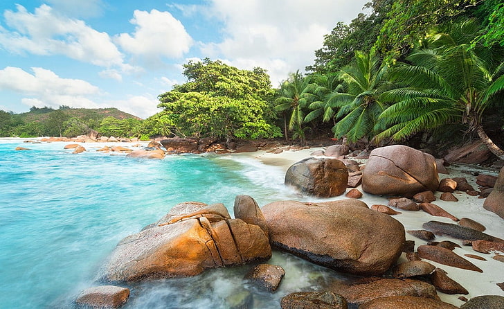 green leafed trees, photography, landscape, nature, beach, island, palm trees, turquoise, sea, rock, Eden, Seychelles, tropical, summer, HD wallpaper