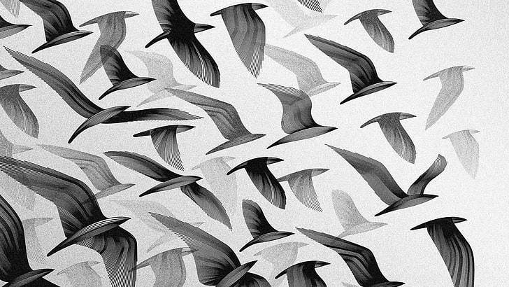 kawanan lukisan burung hitam, burung, monokrom, seni digital, Wallpaper HD