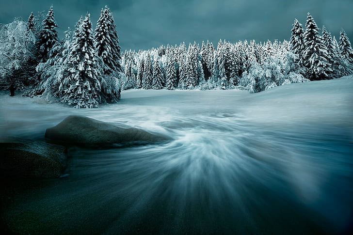 hiver, neige, saisons, paysage, arbres, Fond d'écran HD