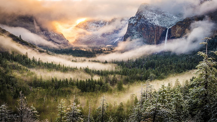 зеленый лес, горы, природа, лес, туман, Йосемитский национальный парк, Йосемитская долина, HD обои