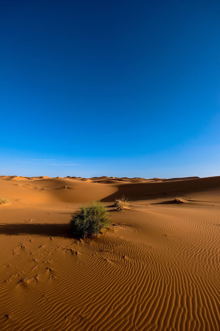 dunas de areia, saara, deserto, areia, céu, HD papel de parede, papel de parede de celular