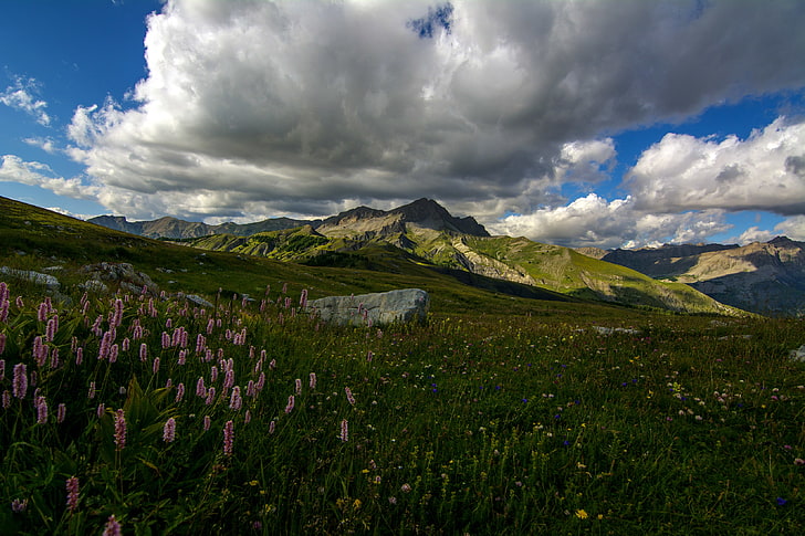 grass, clouds, mountains, stones, France, meadow, Lupin, Colmars, HD wallpaper