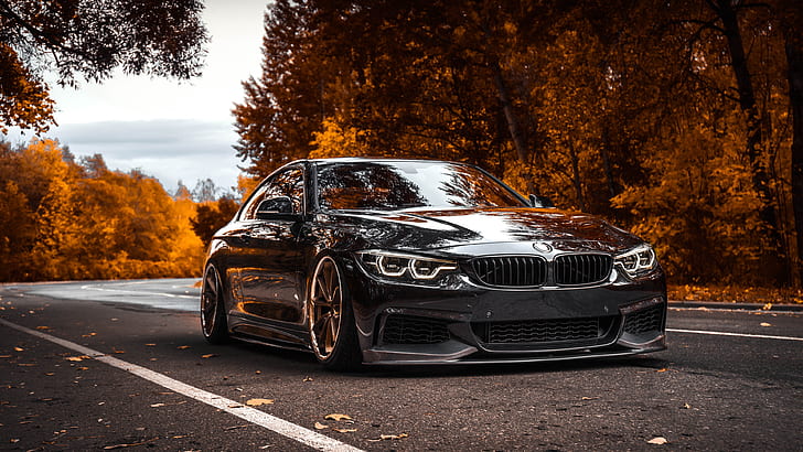 Autumn, BMW, Car, BMW 4-Series, 4-Series, HD wallpaper