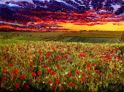 röd blommafält, olja, bild, duk, konstnär O. Katz., & quot; Kvällshimlen över ett vallmofält & quot;, HD tapet HD wallpaper