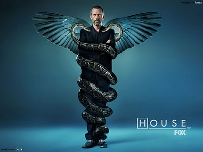 Hose Fox TV show, House, M.D., Gregory House, Sfondo HD HD wallpaper