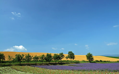 hd hokkaido Hokkaido Landscape 26 - HQ Nature Fields HD Arte, paesaggio, HD, HQ, hokkaido, Sfondo HD HD wallpaper