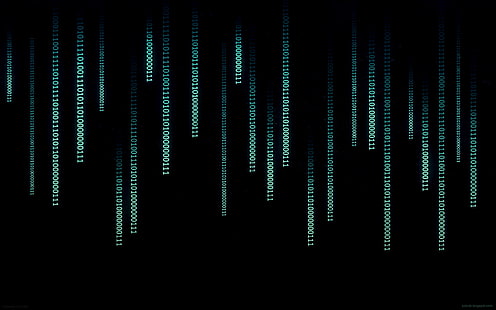 digitale Tapete der schwarzen und grünen Lichter, Technologie, binär, Hacker, Matrix, HD-Hintergrundbild HD wallpaper