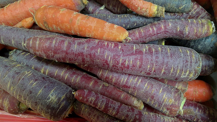carrots, purple carrot, vegetable garden, vegetables, HD wallpaper