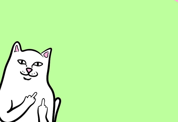 Minimalismus, Katze, Tier, Ripndip, HD-Hintergrundbild