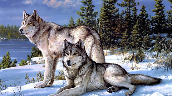 wolfs, snow, winter, trees, pine tree, animals, HD wallpaper HD wallpaper