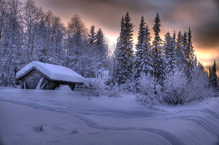 winter, forest, snow, trees, hut, the snow, Finland, Lapland, Ylläs, Äkäslompolo, Akaslompolo, HD wallpaper