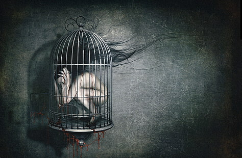 blood, cage, creepy, dark, horror, macabre, sad, sorrow, HD wallpaper HD wallpaper