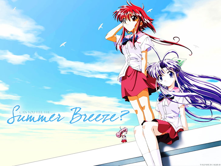 Summer Breeze cover, mamotte shugogetten, girls, sky, seagulls, HD wallpaper